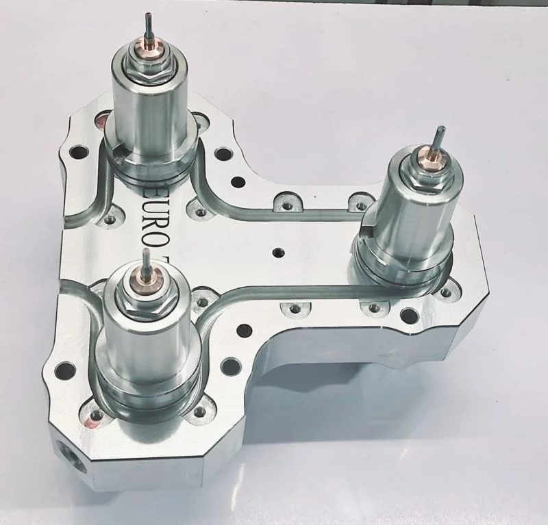Hot Runner Double Heater Nozzle Manufacturer in Mumbai Maharashtra India